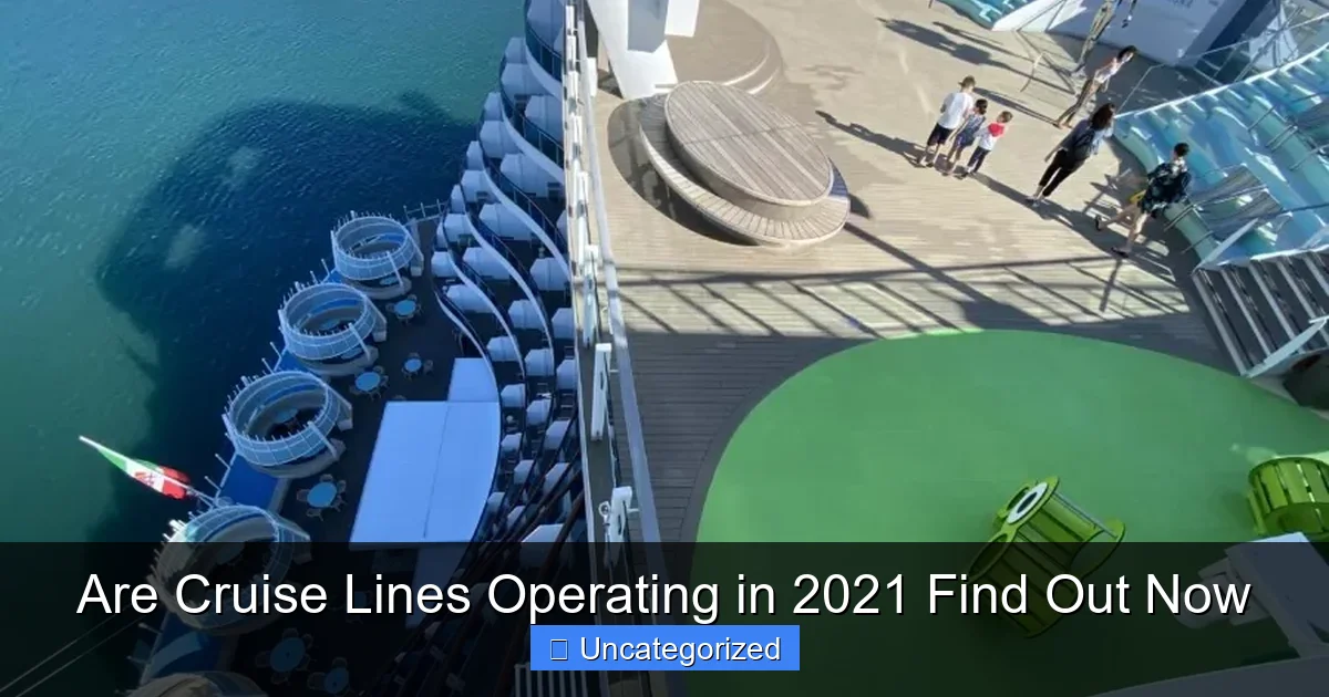 Are Cruise Lines Operating in 2021 Find Out Now