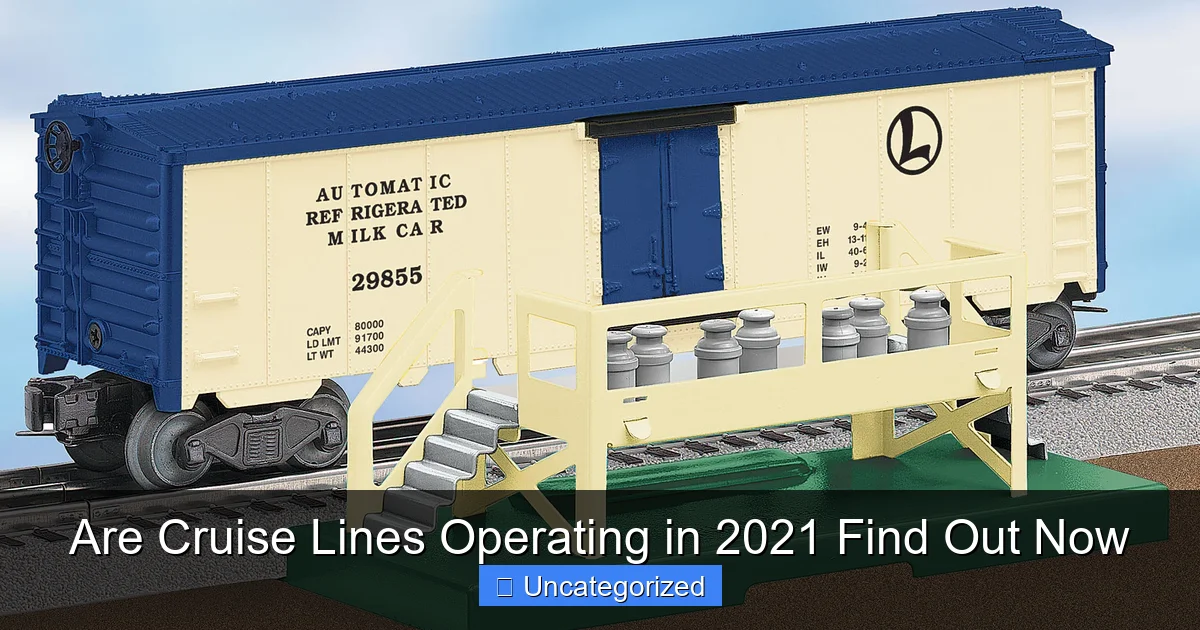 Are Cruise Lines Operating in 2021 Find Out Now