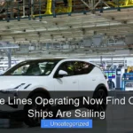 Are Cruise Lines Operating Now Find Out Which Ships Are Sailing