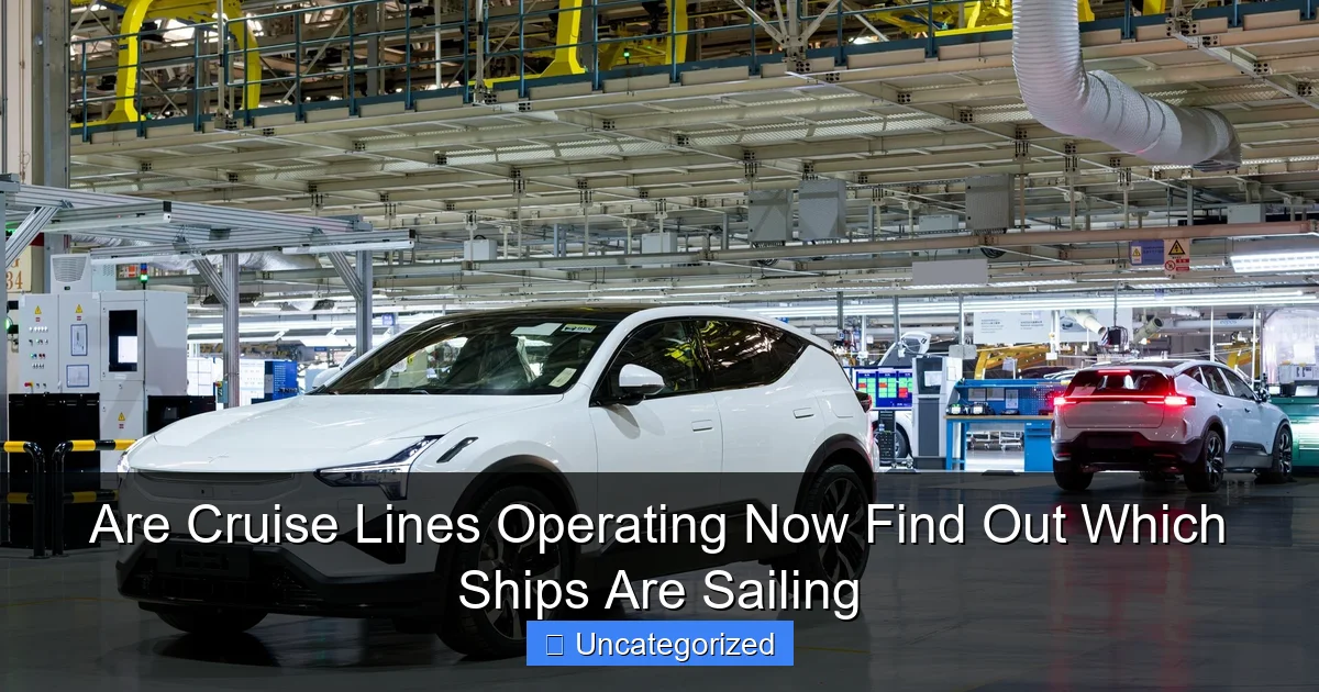 Are Cruise Lines Operating Now Find Out Which Ships Are Sailing