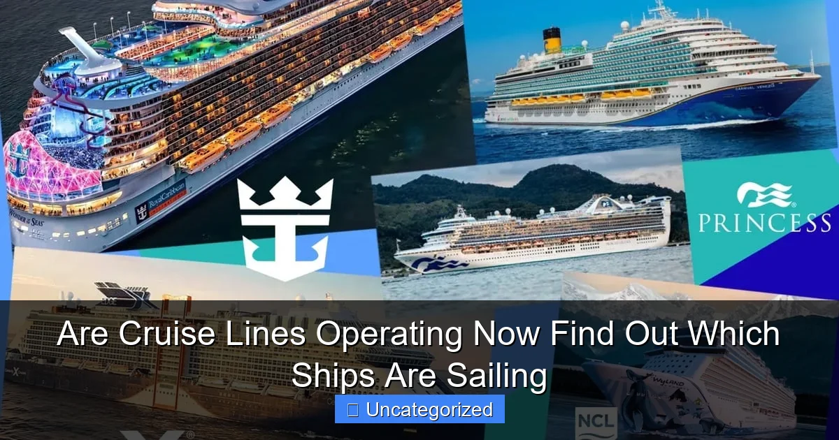 Are Cruise Lines Operating Now Find Out Which Ships Are Sailing