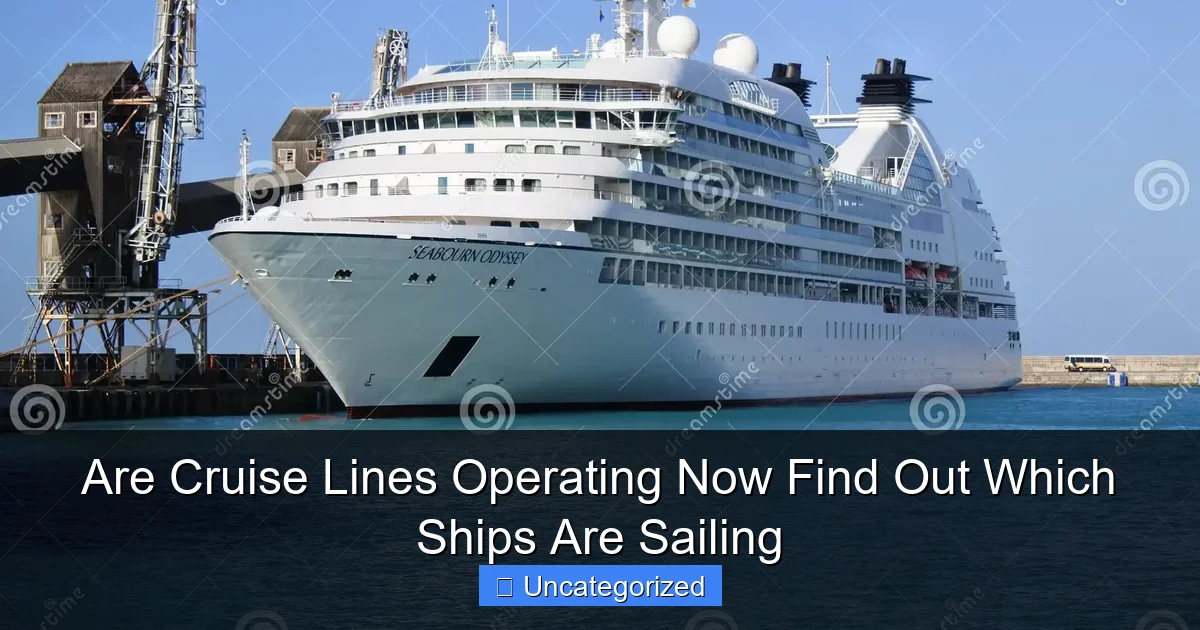 Are Cruise Lines Operating Now Find Out Which Ships Are Sailing
