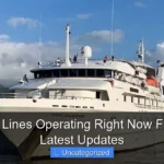 Are Cruise Lines Operating Right Now Find Out the Latest Updates