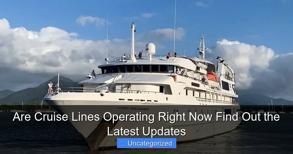 Are Cruise Lines Operating Right Now Find Out the Latest Updates