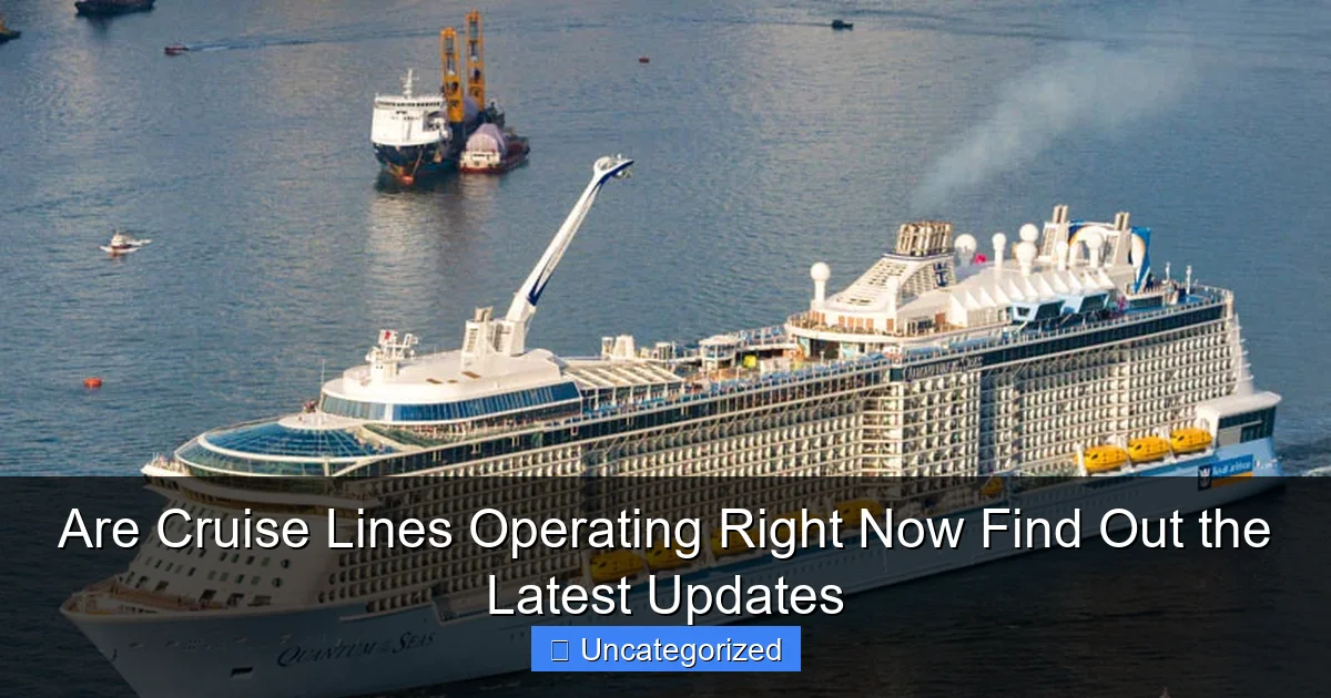 Are Cruise Lines Operating Right Now Find Out the Latest Updates
