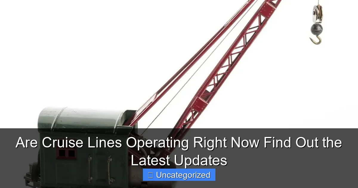 Are Cruise Lines Operating Right Now Find Out the Latest Updates