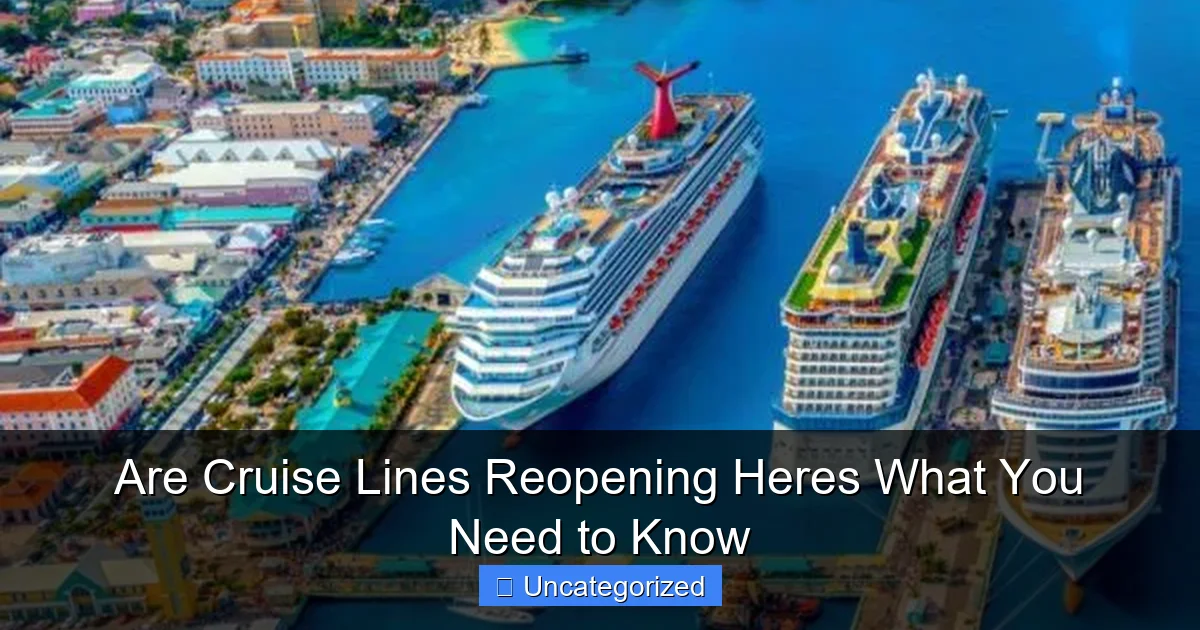 Are Cruise Lines Reopening Heres What You Need to Know