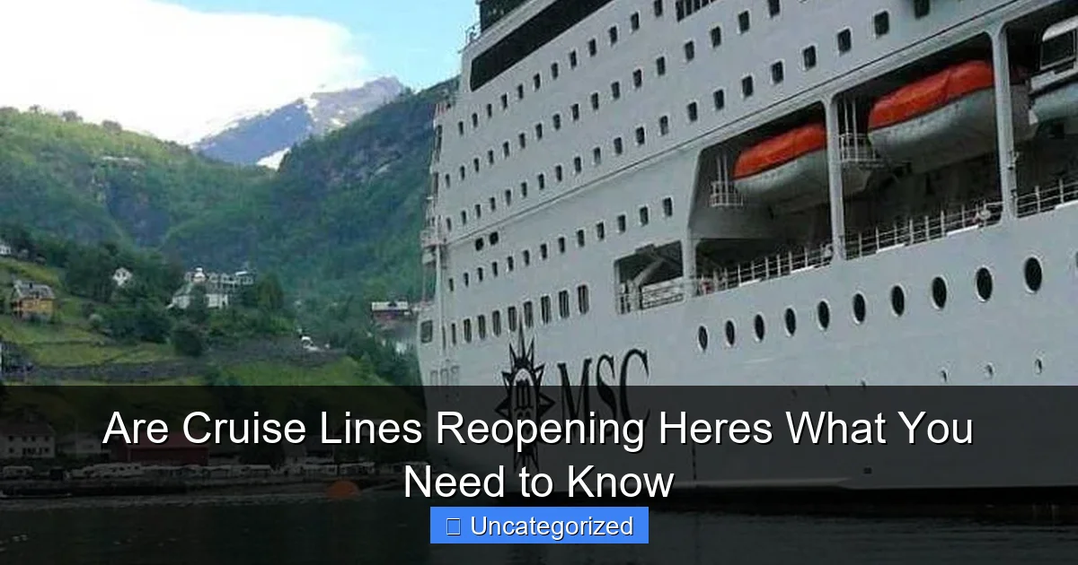 Are Cruise Lines Reopening Heres What You Need to Know
