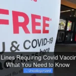 Are Cruise Lines Requiring Covid Vaccines in 2024 What You Need to Know