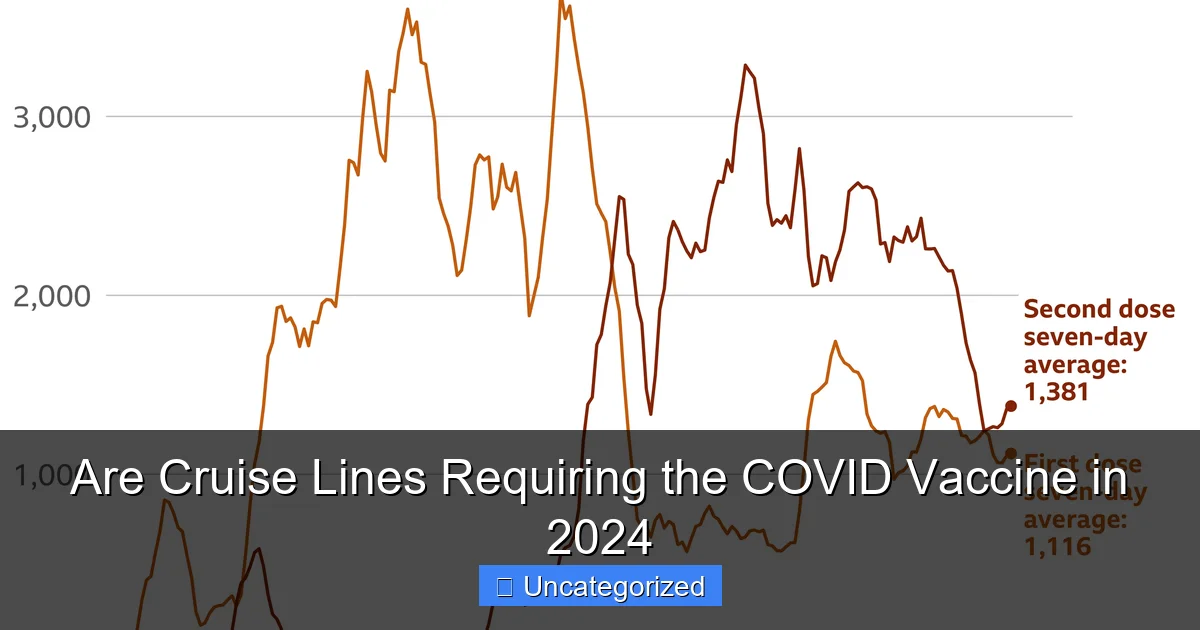 Are Cruise Lines Requiring the COVID Vaccine in 2024