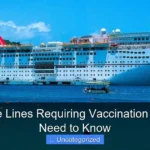 Are Cruise Lines Requiring Vaccination What You Need to Know