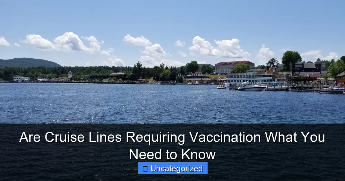 Are Cruise Lines Requiring Vaccination What You Need to Know