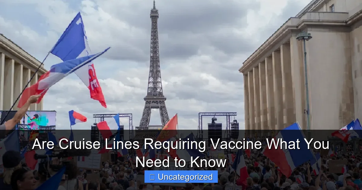Are Cruise Lines Requiring Vaccine What You Need to Know