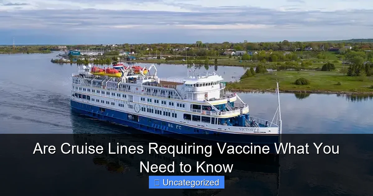 Are Cruise Lines Requiring Vaccine What You Need to Know