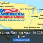 Are Cruise Lines Running Again in 2024 Find Out Now