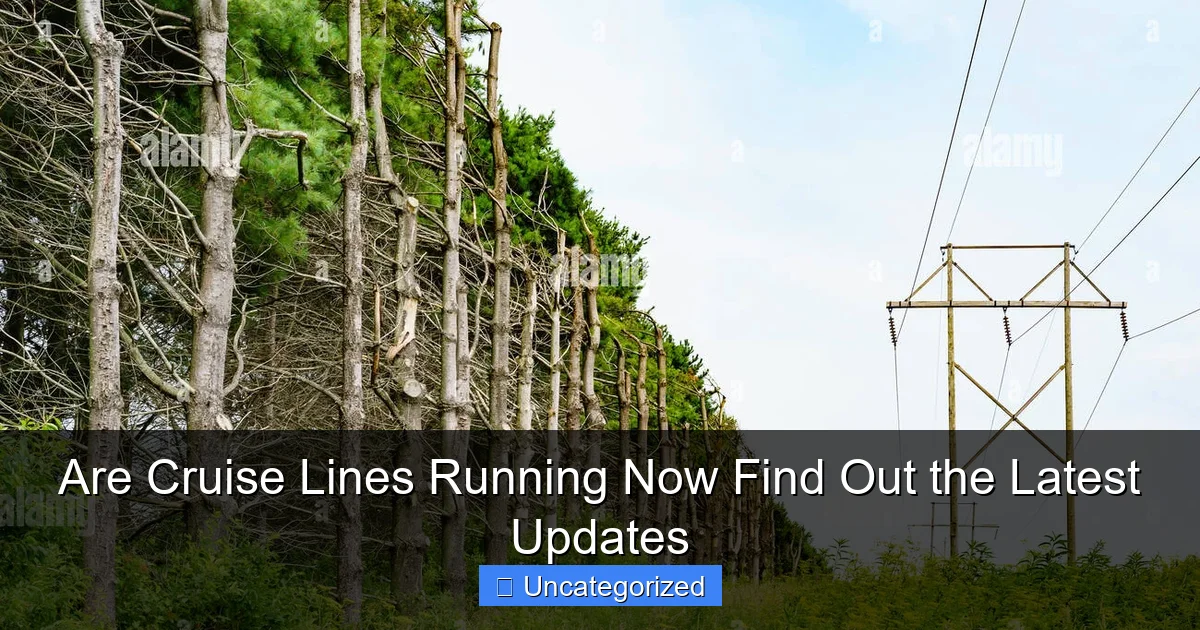 Are Cruise Lines Running Now Find Out the Latest Updates
