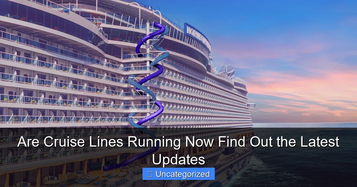 Are Cruise Lines Running Now Find Out the Latest Updates