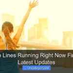 Are Cruise Lines Running Right Now Find Out the Latest Updates