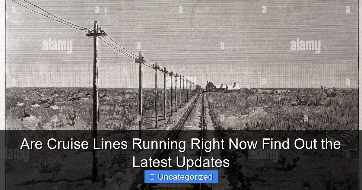 Are Cruise Lines Running Right Now Find Out the Latest Updates