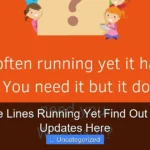 Are Cruise Lines Running Yet Find Out the Latest Updates Here