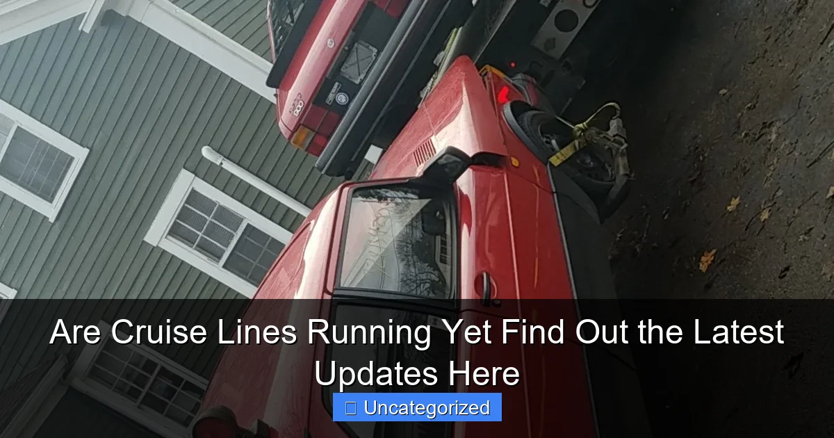Are Cruise Lines Running Yet Find Out the Latest Updates Here
