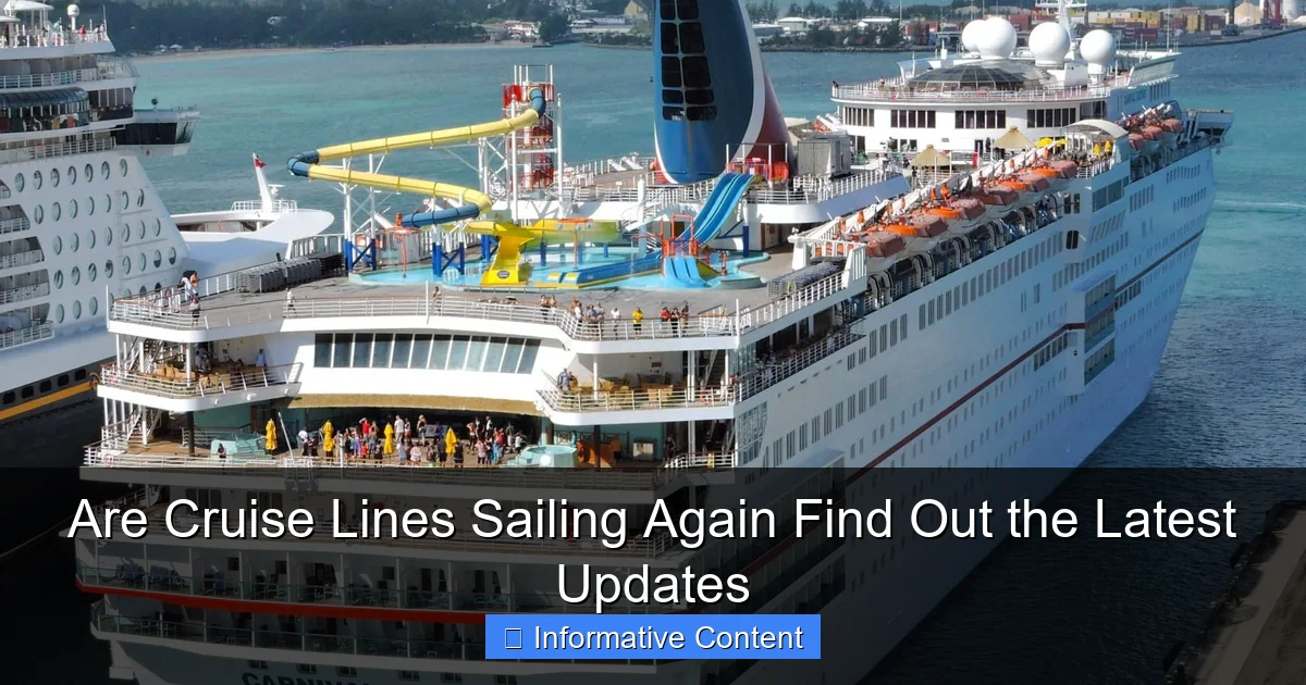 Are Cruise Lines Sailing Again Find Out the Latest Updates