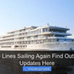 Are Cruise Lines Sailing Again Find Out the Latest Updates Here