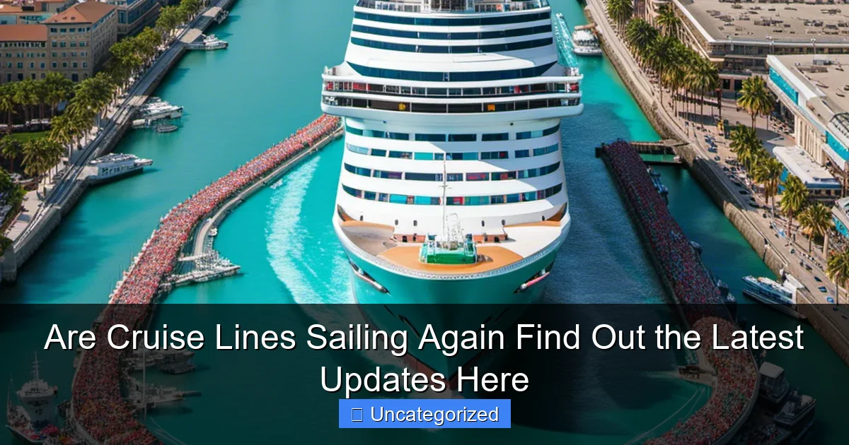 Are Cruise Lines Sailing Again Find Out the Latest Updates Here