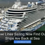 Are Cruise Lines Sailing Now Find Out Which Ships Are Back at Sea