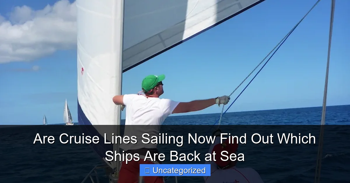 Are Cruise Lines Sailing Now Find Out Which Ships Are Back at Sea