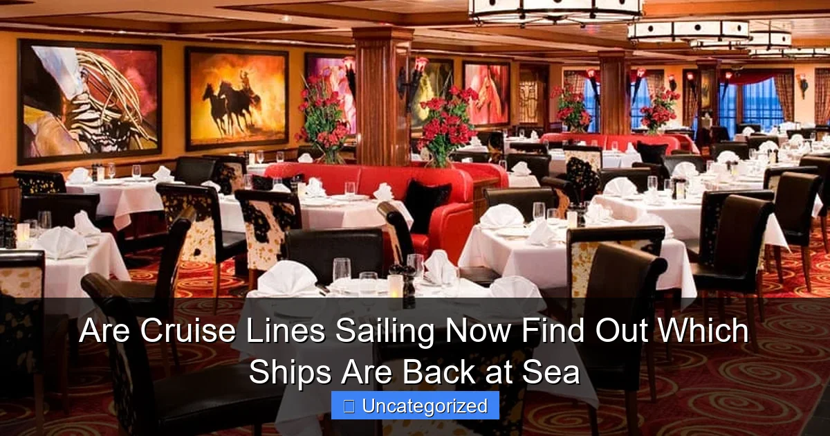 Are Cruise Lines Sailing Now Find Out Which Ships Are Back at Sea