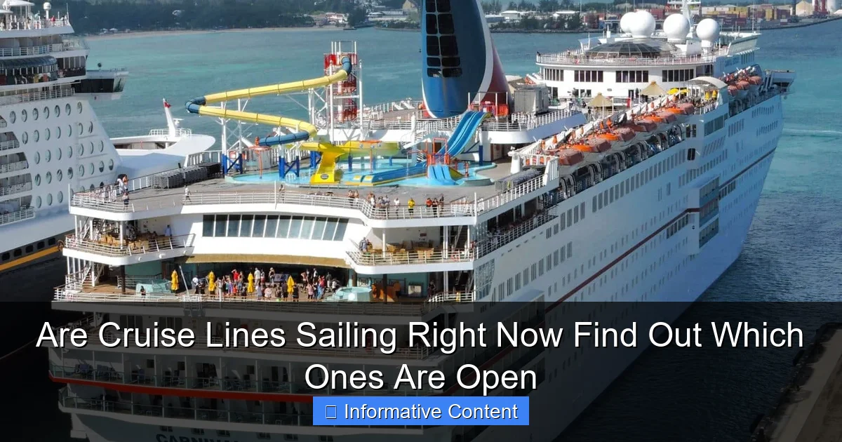 Are Cruise Lines Sailing Right Now Find Out Which Ones Are Open