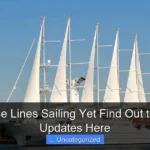 Are Cruise Lines Sailing Yet Find Out the Latest Updates Here