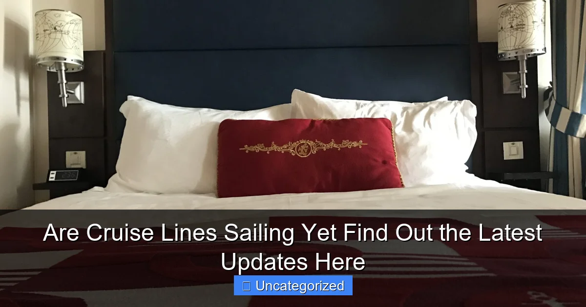 Are Cruise Lines Sailing Yet Find Out the Latest Updates Here