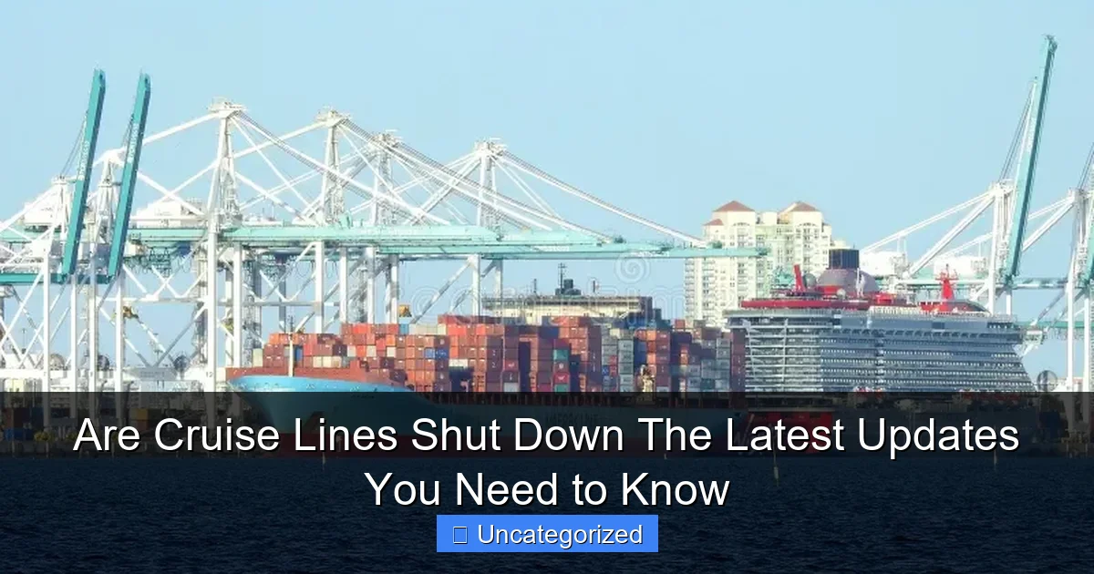 Are Cruise Lines Shut Down The Latest Updates You Need to Know