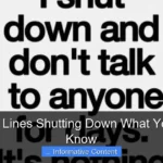 Are Cruise Lines Shutting Down What You Need to Know