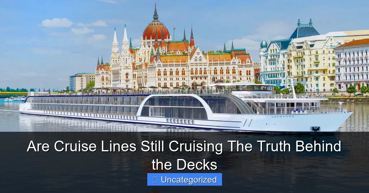 Are Cruise Lines Still Cruising The Truth Behind the Decks