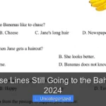 Are Cruise Lines Still Going to the Bahamas in 2024