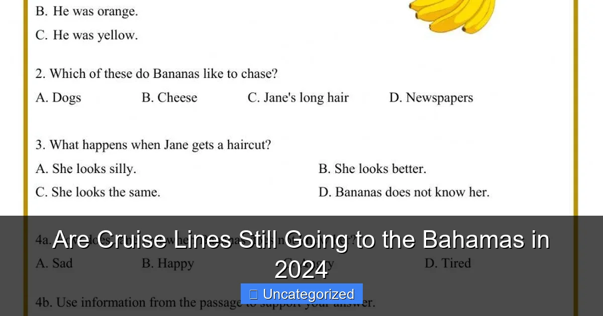 Are Cruise Lines Still Going to the Bahamas in 2024