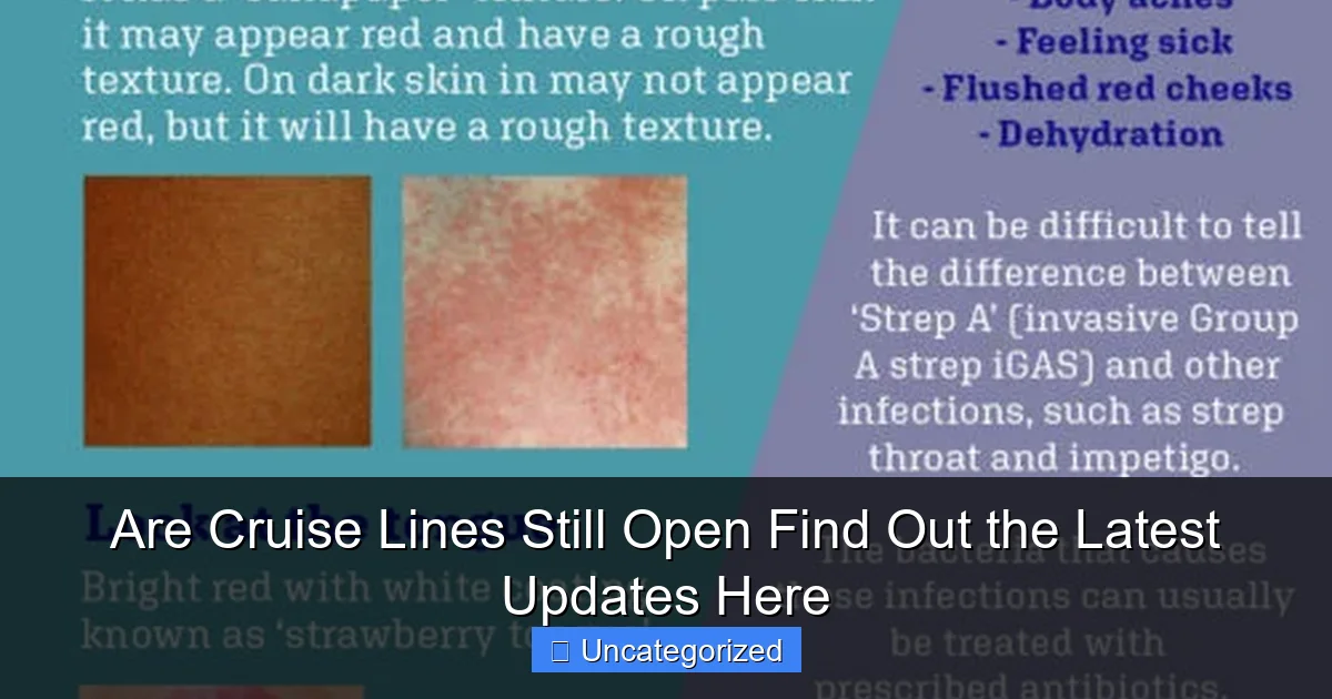 Are Cruise Lines Still Open Find Out the Latest Updates Here