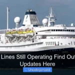 Are Cruise Lines Still Operating Find Out the Latest Updates Here