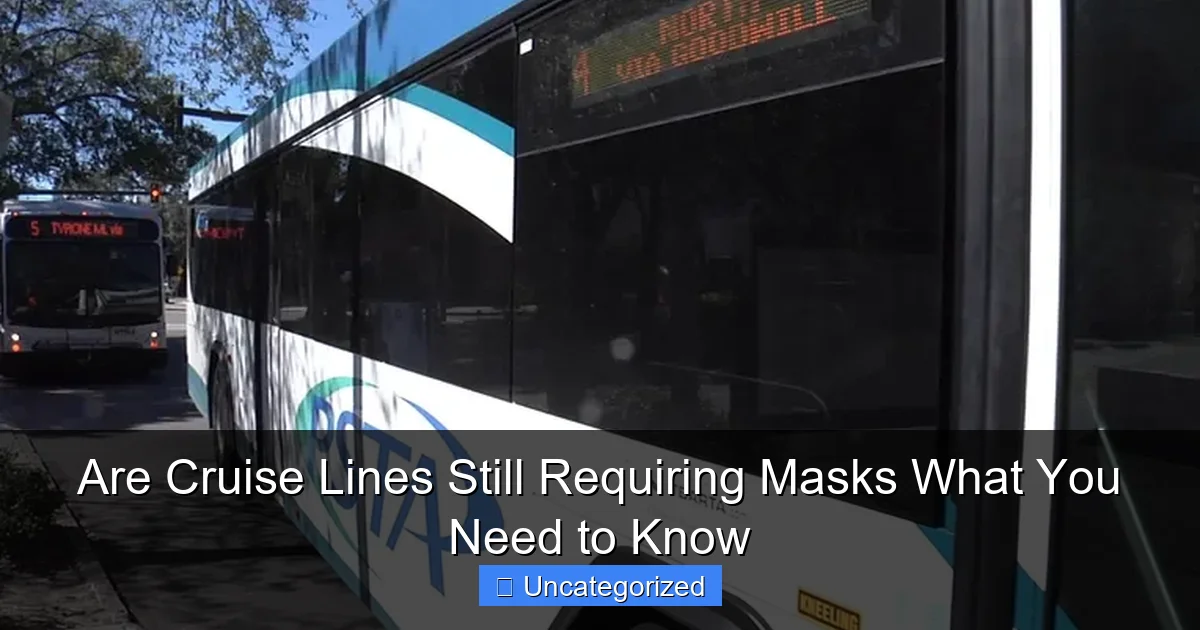 Are Cruise Lines Still Requiring Masks What You Need to Know