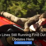 Are Cruise Lines Still Running Find Out the Latest Updates Here