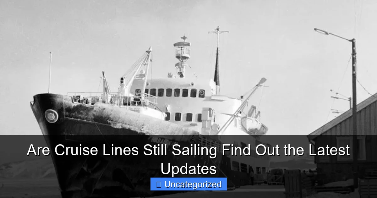 Are Cruise Lines Still Sailing Find Out the Latest Updates