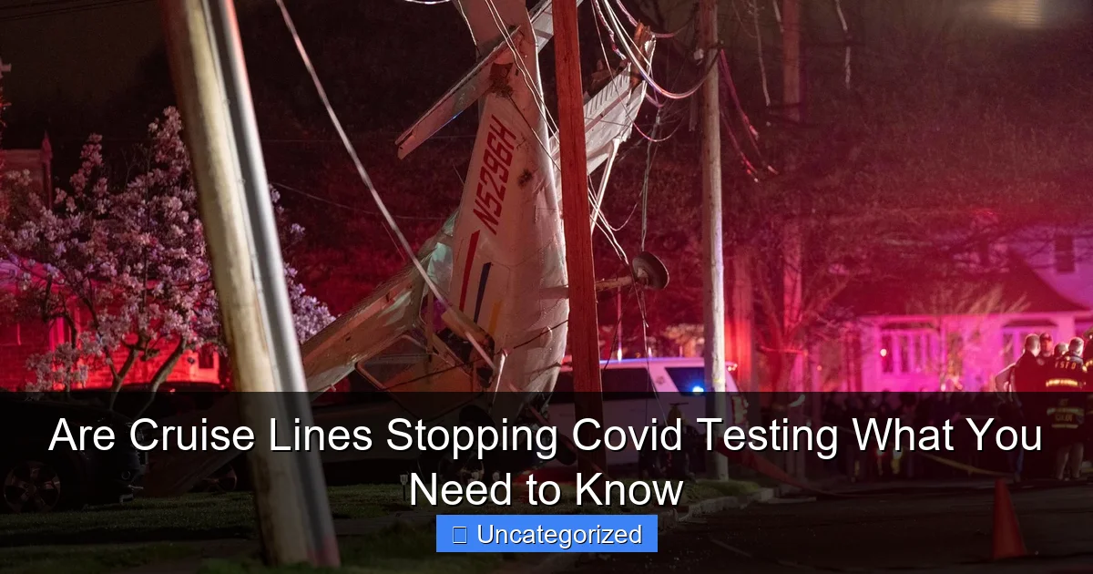 Are Cruise Lines Stopping Covid Testing What You Need to Know