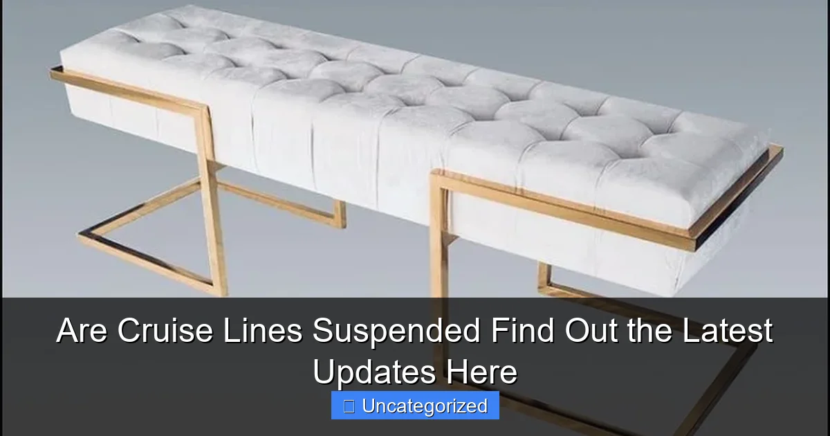 Are Cruise Lines Suspended Find Out the Latest Updates Here