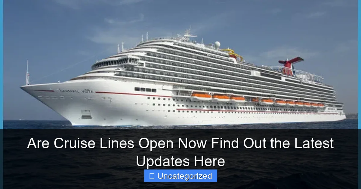 Are Cruise Lines Open Now Find Out the Latest Updates Here
