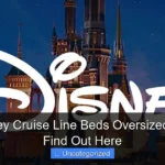 Are Disney Cruise Line Beds Oversized Queens Find Out Here
