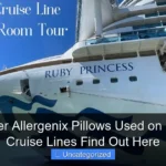 Are Hyper Allergenix Pillows Used on Princess Cruise Lines Find Out Here