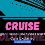 Are Norwegian Cruise Line Soda From Machine or Cans Explained